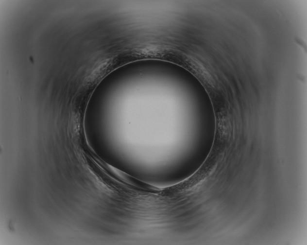 X0000097630593200802291342