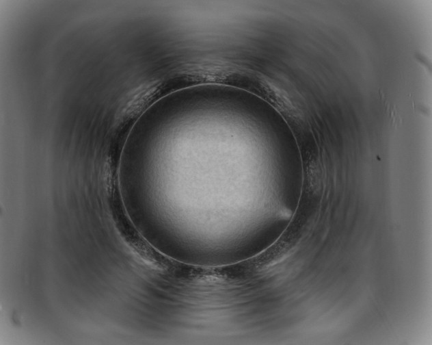 X0000097630594200802291342