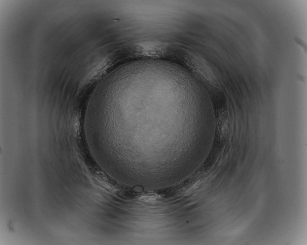 X0000097630595200802291342