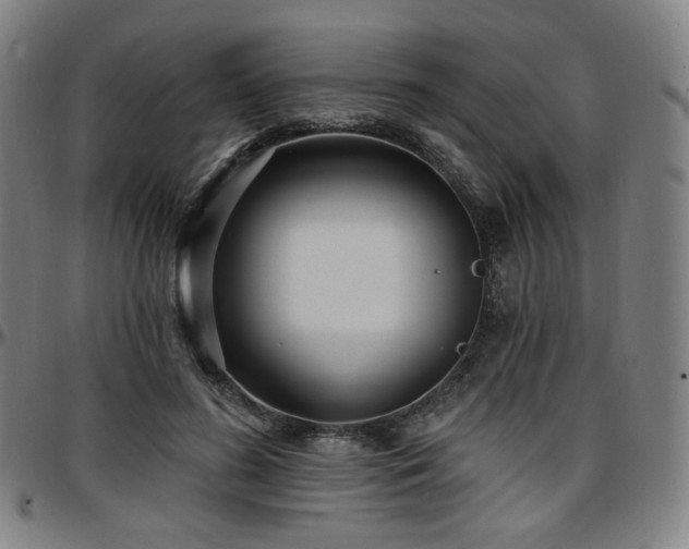 X0000097630596200802291342