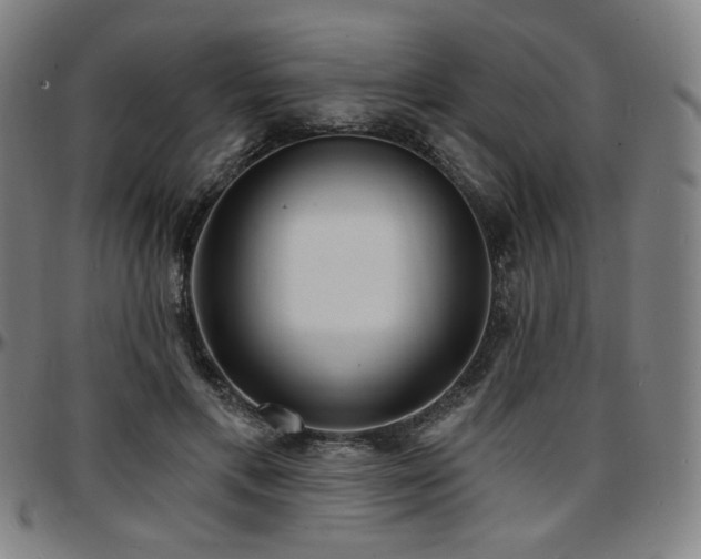 X0000097630597200802291342