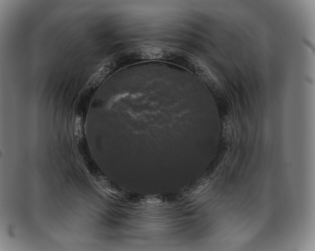 X0000097630598200802291342