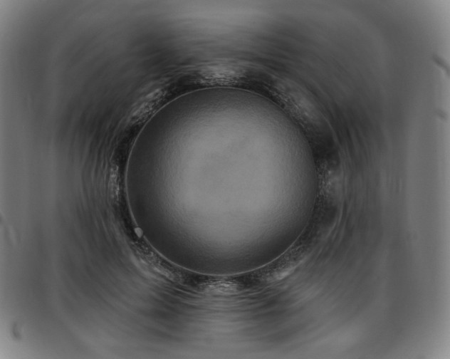 X0000097630599200802291342