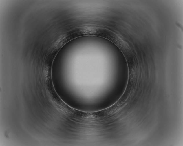 X0000097630600200802291342