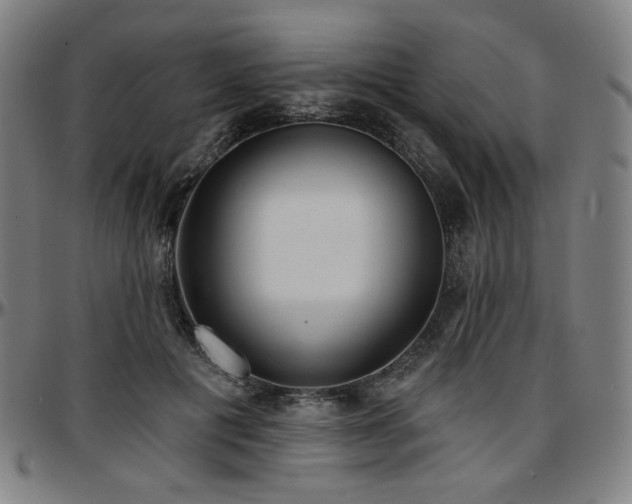 X0000097630601200802291342
