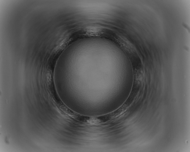 X0000097630603200802291342