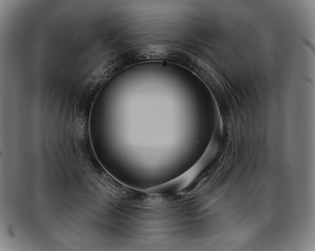 X0000097630604200802291342