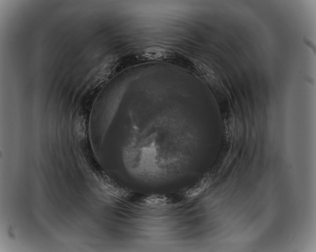 X0000097630606200802291342