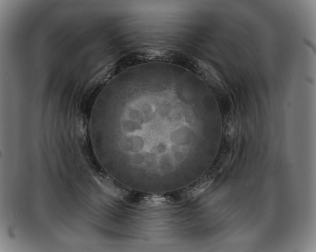 X0000097630607200802291342