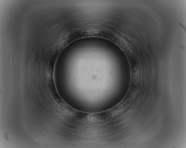 X0000097630608200802291342