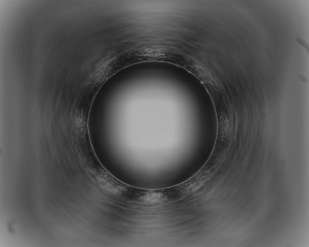 X0000097630609200802291342