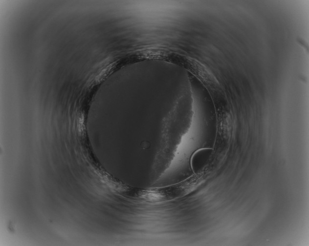 X0000097630610200802291342