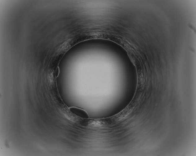 X0000097630611200802291342