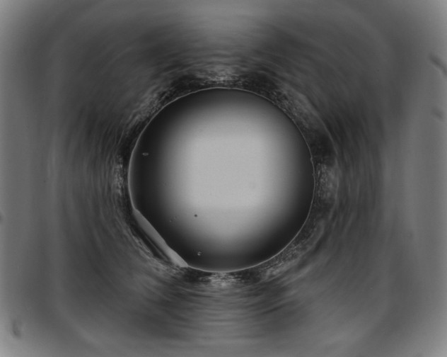 X0000097630612200802291342