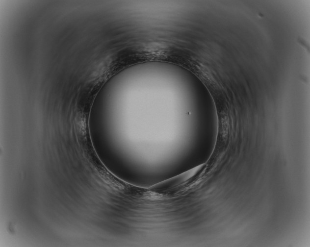 X0000097630613200802291342
