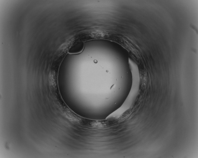 X0000097630616200802291342