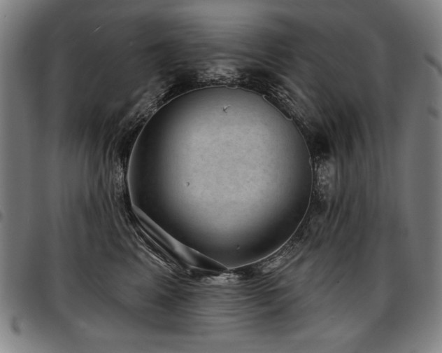 X0000097630617200802291342