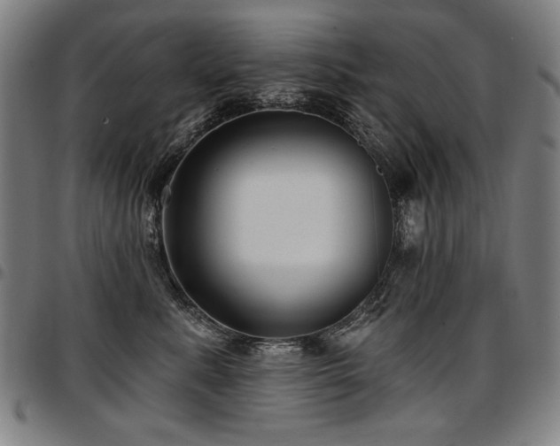 X0000097630619200802291342