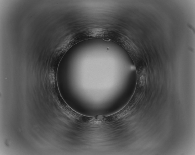 X0000097630620200802291342