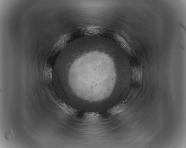 X0000097630621200802291342