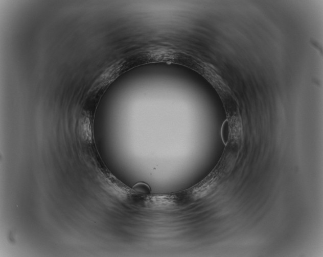 X0000097630622200802291342