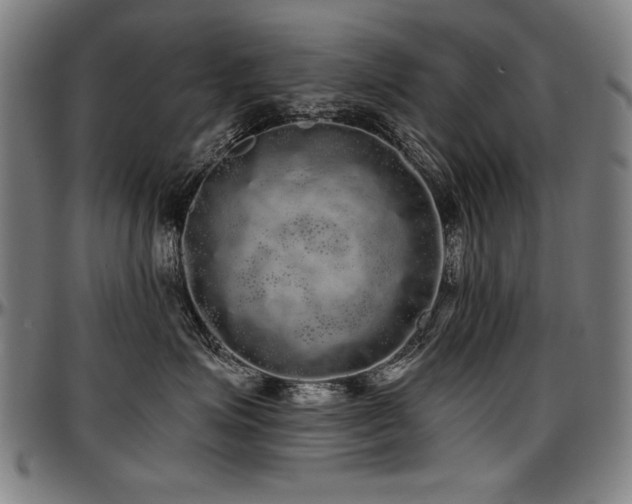 X0000097630623200802291342