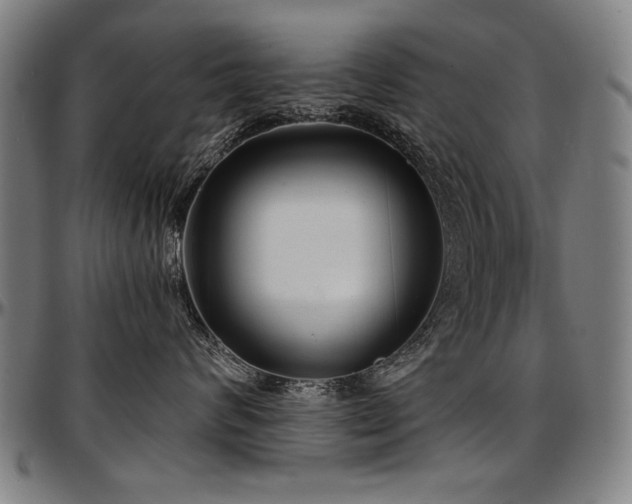 X0000097630624200802291342