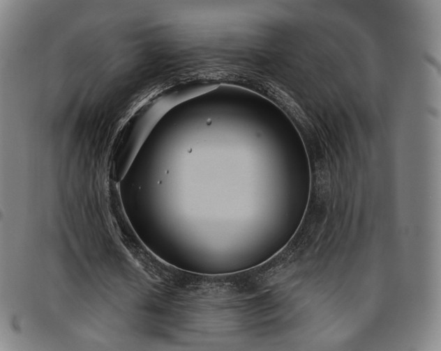 X0000097630626200802291341