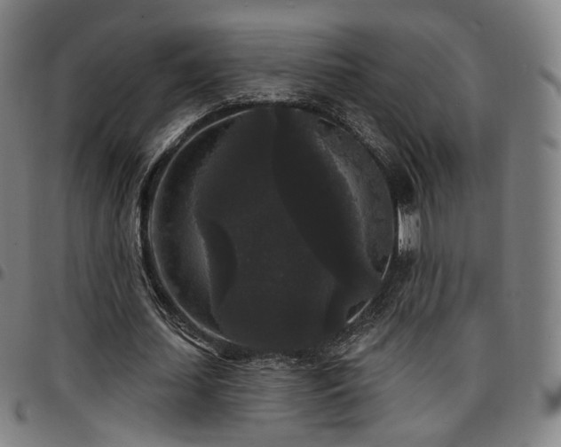 X0000097630627200802291341