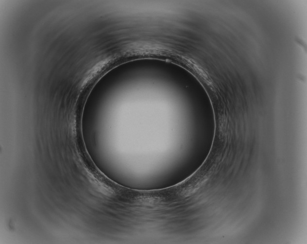 X0000097630629200802291341