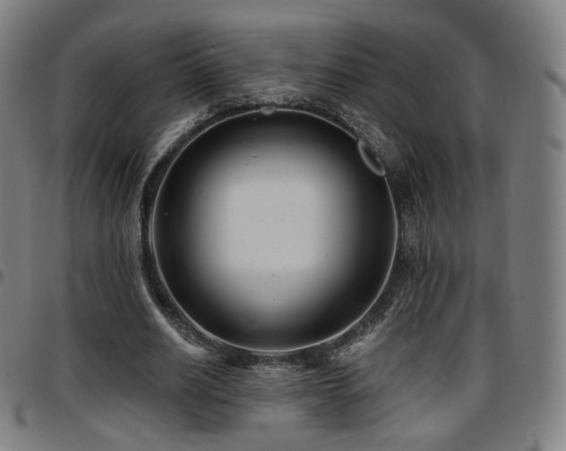 X0000097630630200802291341