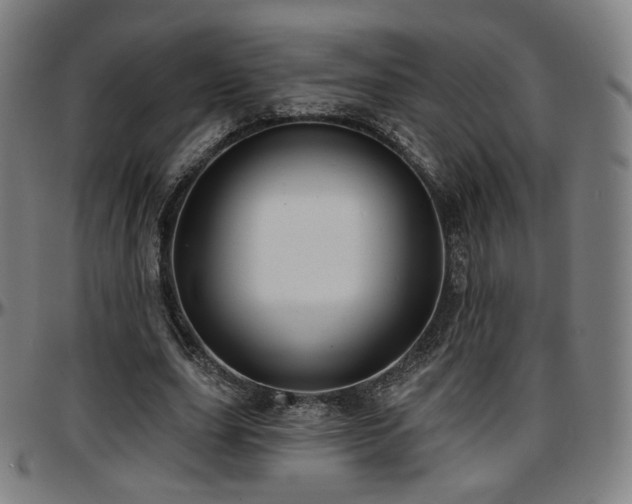 X0000097630631200802291341