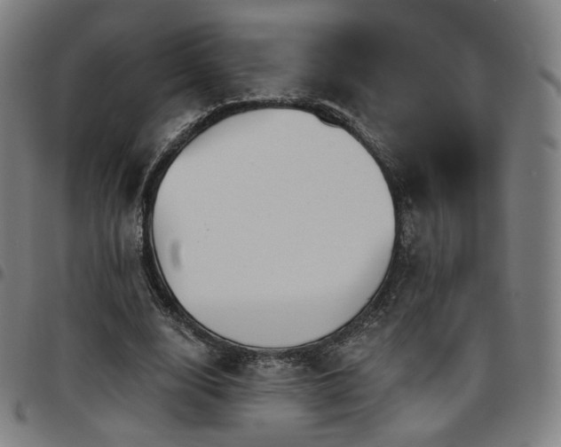X0000097630632200802291341