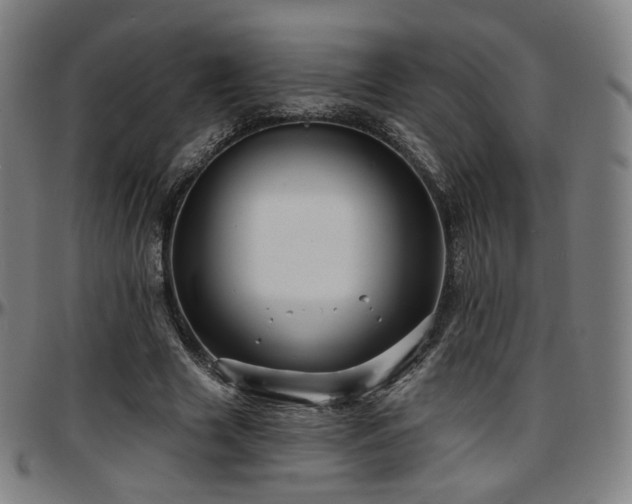 X0000097630633200802291341