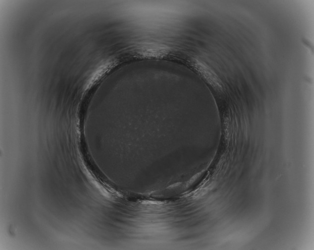 X0000097630634200802291341