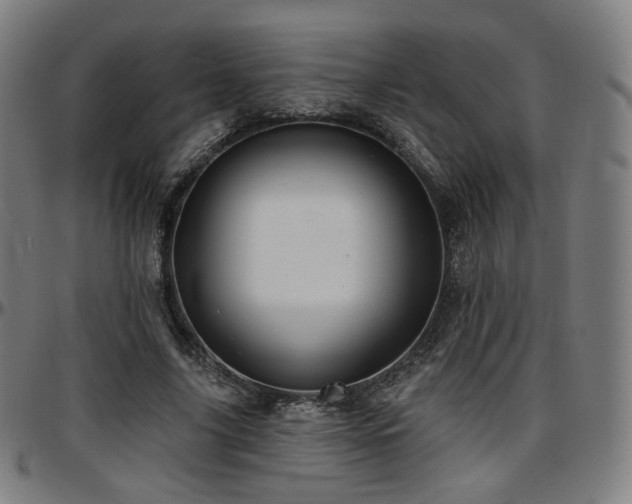 X0000097630635200802291341