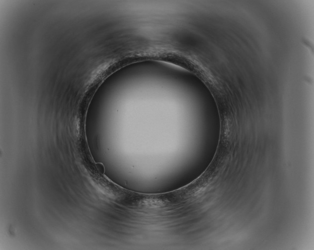 X0000097630636200802291341