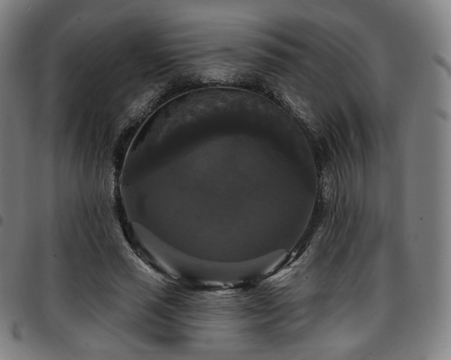 X0000097630637200802291341