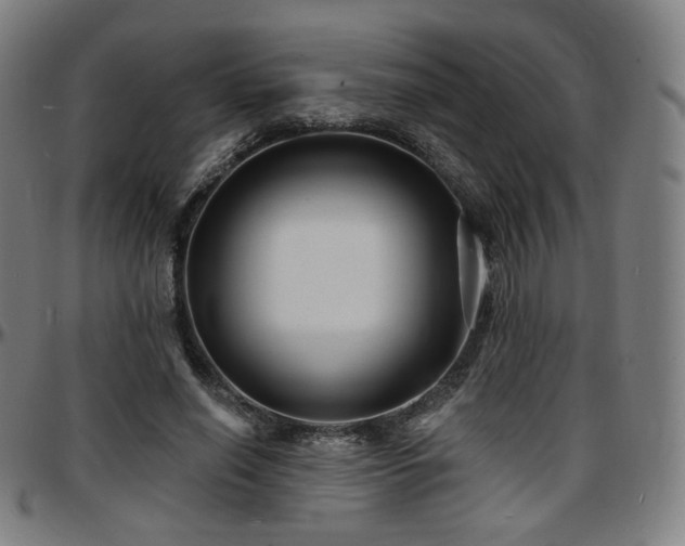 X0000097630638200802291341