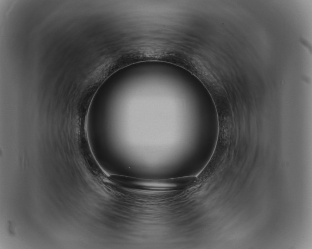 X0000097630639200802291341