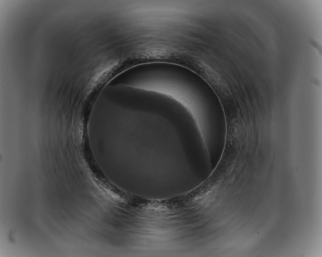X0000097630640200802291341