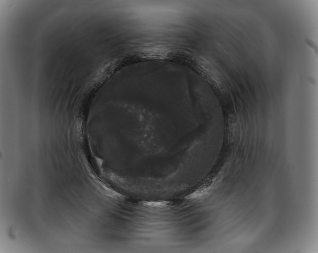 X0000097630641200802291341