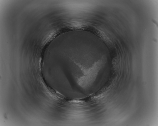 X0000097630642200802291341
