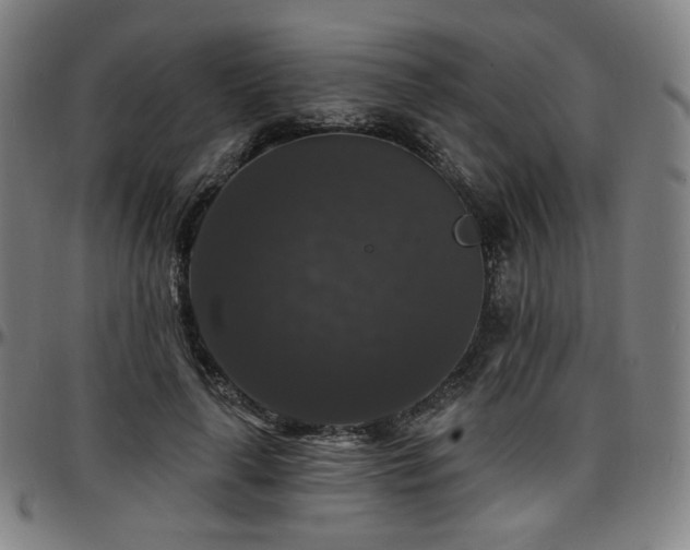 X0000097630643200802291341