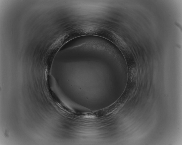 X0000097630644200802291341