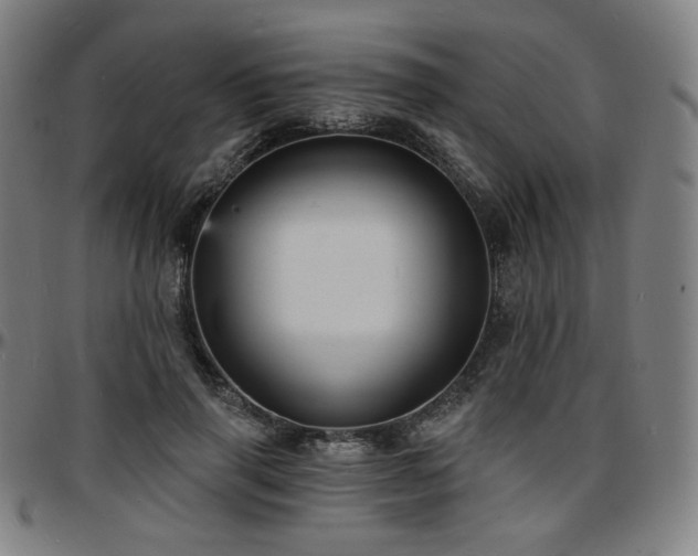 X0000097630645200802291341