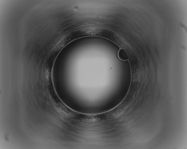 X0000097630646200802291341