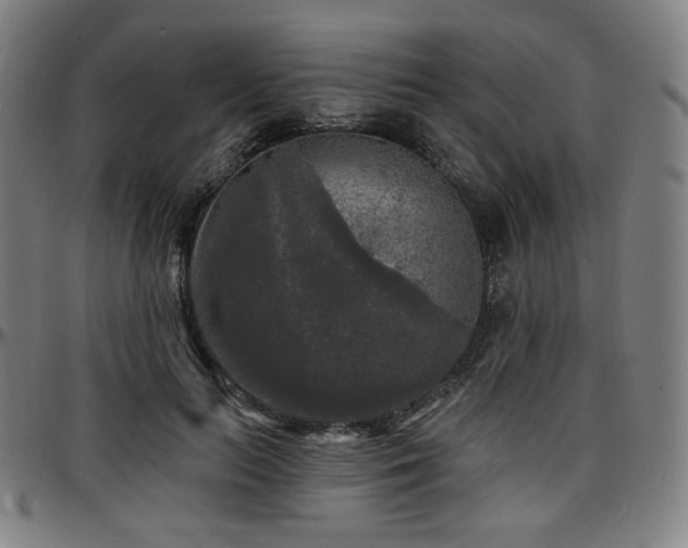 X0000097630647200802291341