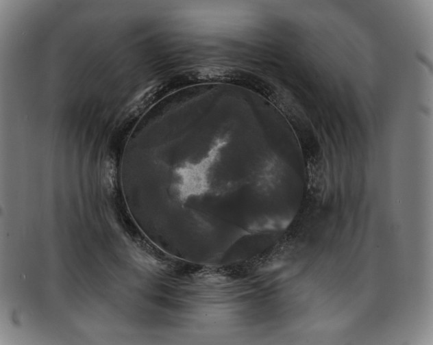 X0000097630648200802291341
