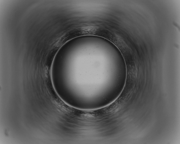 X0000097630649200802291341